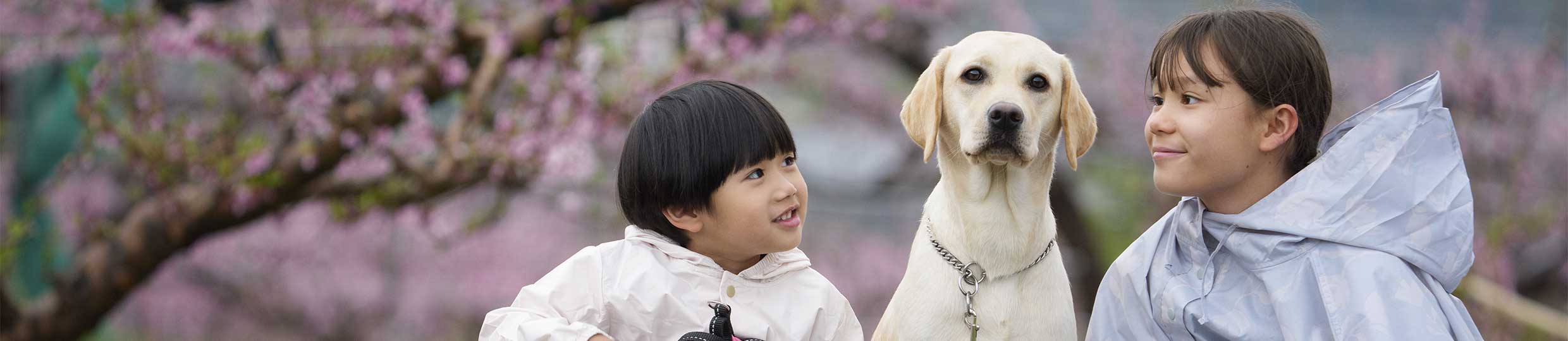 犬の飼育・ケアで支援する